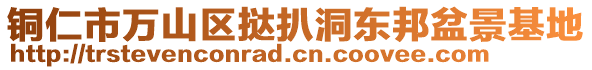 銅仁市萬山區(qū)撻扒洞東邦盆景基地