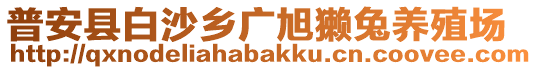 普安縣白沙鄉(xiāng)廣旭獺兔養(yǎng)殖場(chǎng)