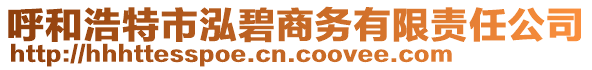 呼和浩特市泓碧商務(wù)有限責(zé)任公司