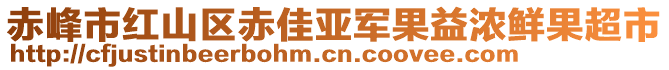 赤峰市红山区赤佳亚军果益浓鲜果超市