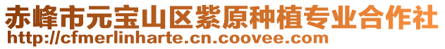 赤峰市元寶山區(qū)紫原種植專業(yè)合作社