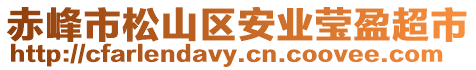 赤峰市松山區(qū)安業(yè)瑩盈超市