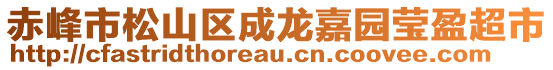 赤峰市松山區(qū)成龍嘉園瑩盈超市