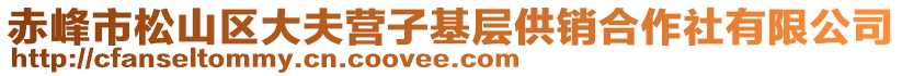 赤峰市松山區(qū)大夫營子基層供銷合作社有限公司