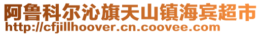 阿鲁科尔沁旗天山镇海宾超市