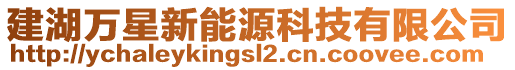 建湖万星新能源科技有限公司