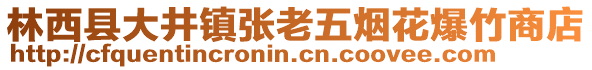 林西县大井镇张老五烟花爆竹商店