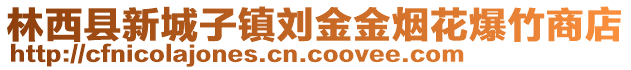 林西县新城子镇刘金金烟花爆竹商店