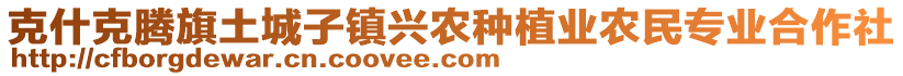 克什克騰旗土城子鎮(zhèn)興農(nóng)種植業(yè)農(nóng)民專業(yè)合作社