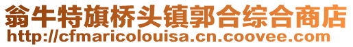 翁牛特旗桥头镇郭合综合商店