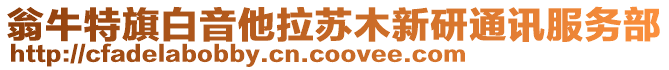 翁牛特旗白音他拉蘇木新研通訊服務(wù)部