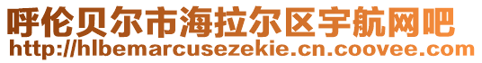 呼倫貝爾市海拉爾區(qū)宇航網(wǎng)吧