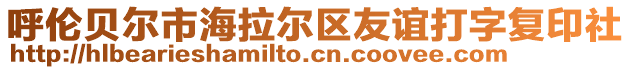 呼倫貝爾市海拉爾區(qū)友誼打字復(fù)印社