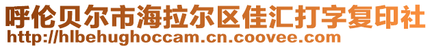 呼倫貝爾市海拉爾區(qū)佳匯打字復(fù)印社