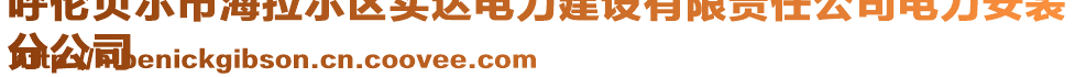 呼倫貝爾市海拉爾區(qū)實(shí)達(dá)電力建設(shè)有限責(zé)任公司電力安裝
分公司