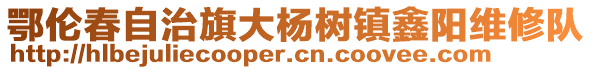 鄂伦春自治旗大杨树镇鑫阳维修队