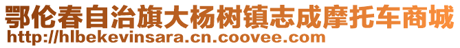 鄂倫春自治旗大楊樹鎮(zhèn)志成摩托車商城