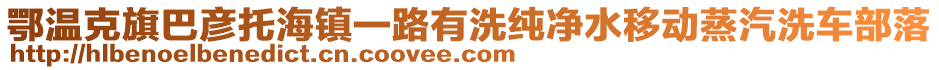 鄂温克旗巴彦托海镇一路有洗纯净水移动蒸汽洗车部落