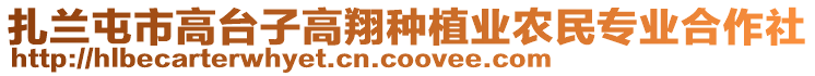 扎蘭屯市高臺子高翔種植業(yè)農(nóng)民專業(yè)合作社