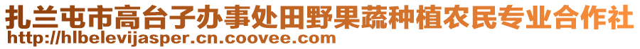 扎蘭屯市高臺子辦事處田野果蔬種植農(nóng)民專業(yè)合作社