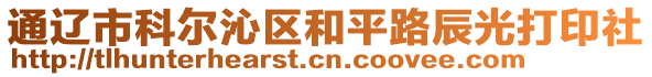 通遼市科爾沁區(qū)和平路辰光打印社