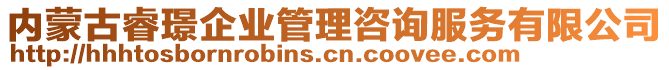 內(nèi)蒙古睿璟企業(yè)管理咨詢服務(wù)有限公司