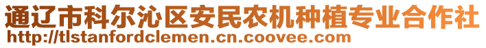 通遼市科爾沁區(qū)安民農(nóng)機種植專業(yè)合作社