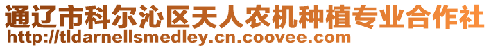 通遼市科爾沁區(qū)天人農(nóng)機(jī)種植專業(yè)合作社