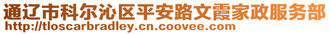 通遼市科爾沁區(qū)平安路文霞家政服務(wù)部