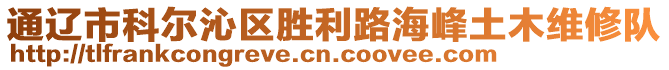 通遼市科爾沁區(qū)勝利路海峰土木維修隊(duì)