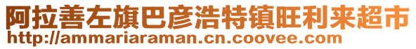 阿拉善左旗巴彥浩特鎮(zhèn)旺利來超市