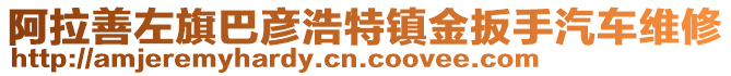 阿拉善左旗巴彥浩特鎮(zhèn)金扳手汽車維修