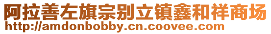 阿拉善左旗宗別立鎮(zhèn)鑫和祥商場(chǎng)