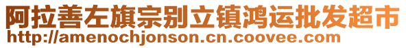 阿拉善左旗宗别立镇鸿运批发超市