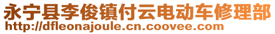 永寧縣李俊鎮(zhèn)付云電動車修理部