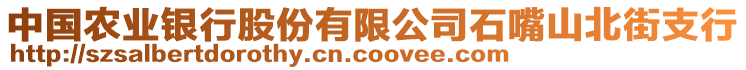 中國(guó)農(nóng)業(yè)銀行股份有限公司石嘴山北街支行