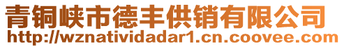 青銅峽市德豐供銷有限公司