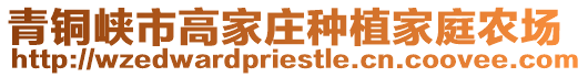 青銅峽市高家莊種植家庭農(nóng)場