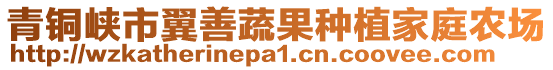 青銅峽市翼善蔬果種植家庭農(nóng)場