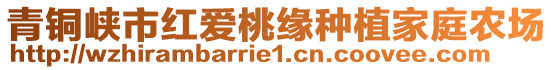 青銅峽市紅愛(ài)桃緣種植家庭農(nóng)場(chǎng)