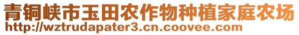 青銅峽市玉田農(nóng)作物種植家庭農(nóng)場