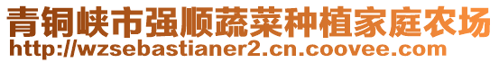 青銅峽市強(qiáng)順蔬菜種植家庭農(nóng)場(chǎng)