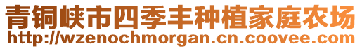 青銅峽市四季豐種植家庭農(nóng)場