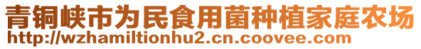 青銅峽市為民食用菌種植家庭農(nóng)場(chǎng)