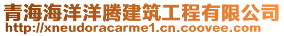 青海海洋洋騰建筑工程有限公司