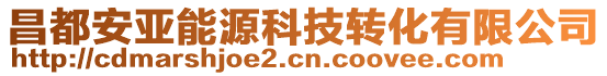 昌都安亚能源科技转化有限公司