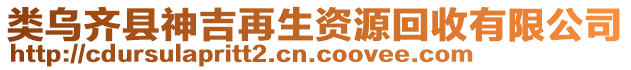 類烏齊縣神吉再生資源回收有限公司