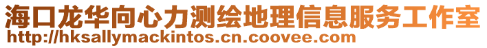 海口龙华向心力测绘地理信息服务工作室