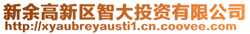 新余高新區(qū)智大投資有限公司