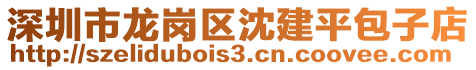 深圳市龍崗區(qū)沈建平包子店